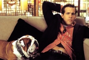 van wilder